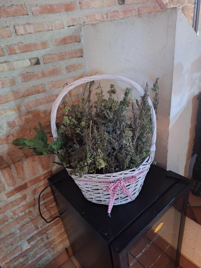 San Bartolomé de Pinares Hostal El Patio Restaurante מראה חיצוני תמונה