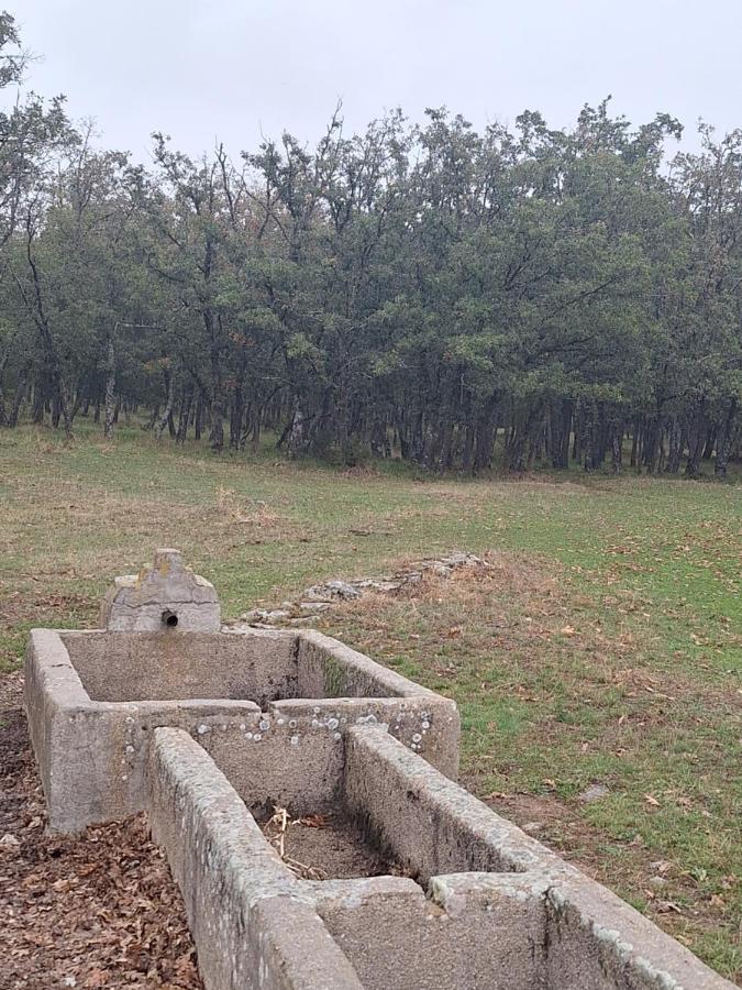 San Bartolomé de Pinares Hostal El Patio Restaurante מראה חיצוני תמונה