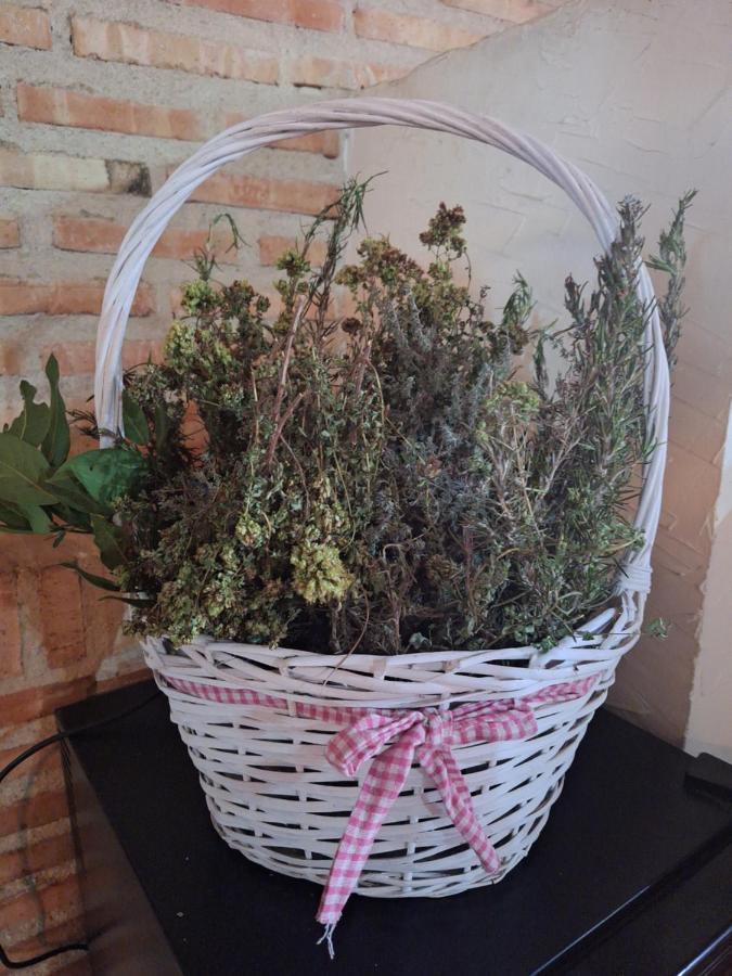 San Bartolomé de Pinares Hostal El Patio Restaurante מראה חיצוני תמונה